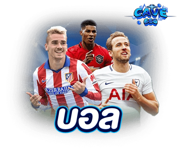 แทงบอล cave666