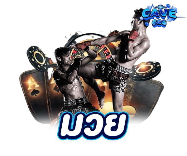 แทงมวย cave666